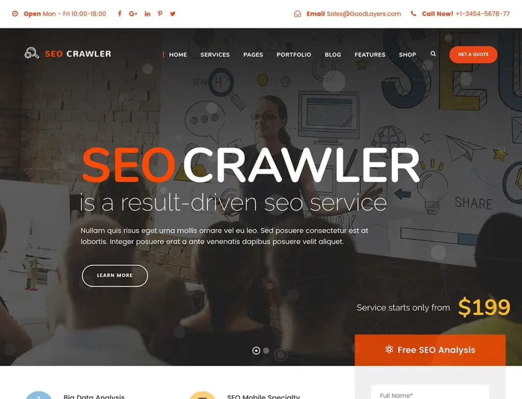 SEO Crawler WordPress Theme